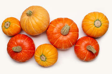 Green living background with round yellow and orange pumpkins on white. Closeup, studio shot