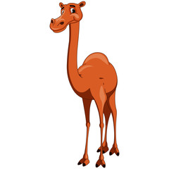 Tall Brown Smiling Camel with a Hump - Cartoon Vector Image