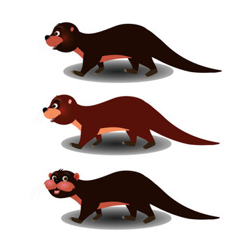 Three Brown Otters - Cartoon Vector Image