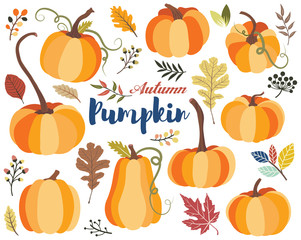 Autumn Pumpkin Harvest Collections Set