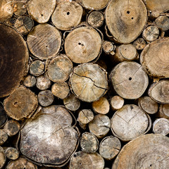 Section plane of wood log background