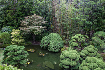 jardín botánico chino en San Francisco