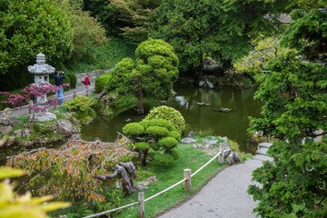 Fototapeta premium jardín botánico chino en San Francisco