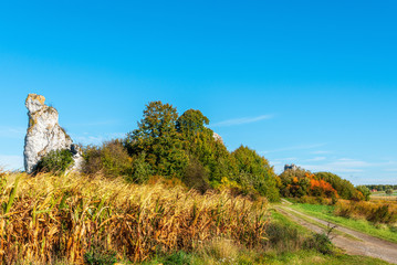 Obraz premium Scenery of the Krakow-Częstochowa Upland in Poland. Autumn view of the lonely rocky island situated among a grassy meadow and arable fields. Clear blue sky background. 