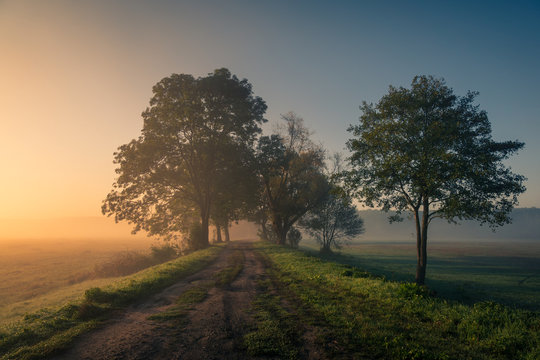 Road during a foggy morning in Oborskie Meadows, Konstancin Jeziorna, Poland