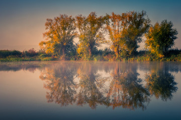Autumn willows and their reflection in the lake near Konstancin Jeziorna, Poland