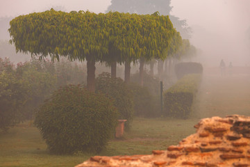 Thick cold fog in the morning