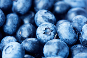 blueberries on white background