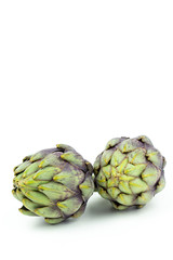 globe artichokes isolated on white copy space
