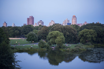 vista de Nueva York desde Central Park