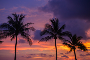 silhouette of coconut tree at sunset sky background.