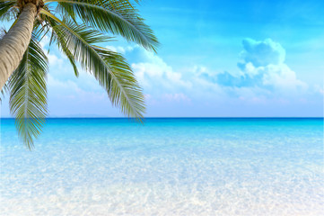Obraz na płótnie Canvas Sea view tropical sea with summer background.