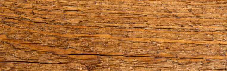 bark of a tree surface texture - obrazy, fototapety, plakaty