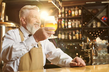 Barman holding beer glass, standing at bar counter.