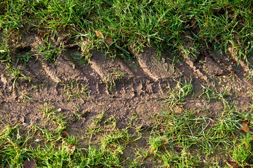 car tread track on grass