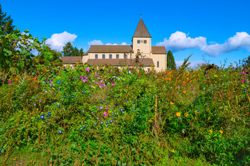 Naklejka premium St. Georg Church on Reichenau Island has been standing here for over 1000 years. There are no buildings from this time in the distance after destructive forces of all kinds. Like a rock of love.