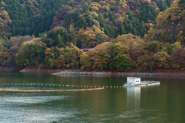 秋の奥多摩湖