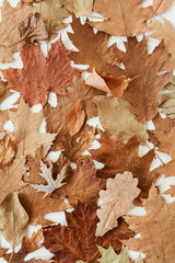 Autumn, fall composition. Beautiful background of brown, orange, beige dried leaves. Creative fall pattern. Flat lay, top view.
