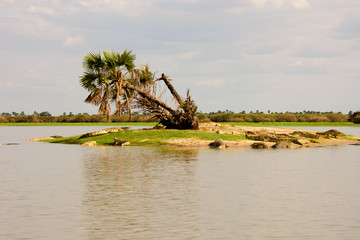 crocodile island in the selous