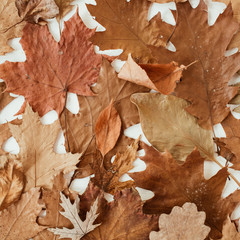 Autumn, fall composition. Beautiful background of brown, orange, beige dried leaves. Creative autumn pattern, postcard. Flat lay, top view.