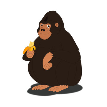 Gorilla eating Banana - Cartoon Vector Image