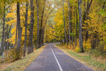 Autumn road background