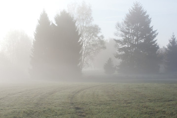Fototapeta na wymiar Der Nebel