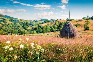Colorful morning scene of Rogojel village. Splendid summer landscape of Cluj County, Romania,...