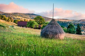Fabulous morning scene of Rogojel village. Wonderful summer sunrise scene of Cluj County, Romania,...