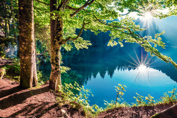 Stunning summer view of Fusine lake. First rays of the sun sparkle through the green leaves of the old forest. Splendid morning scene of Julian Alps, Province of Udine, Italy, Europe.