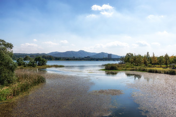 Garden of water river side view