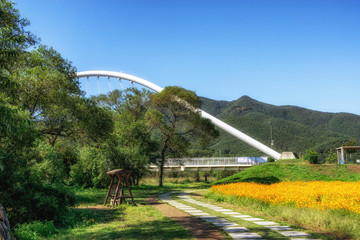 Fototapeta na wymiar garden of water park bridge