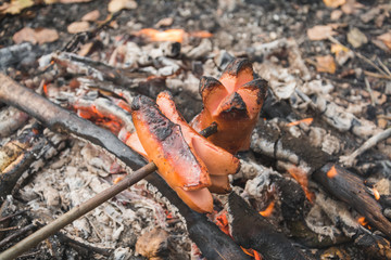 cooking sausages on a campfire on a camping trip