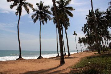 Palm tree-lined beach near Cape Coast, Ghana