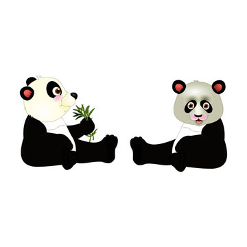 Baby Panda with Bamboo - Cartoon Vector Image