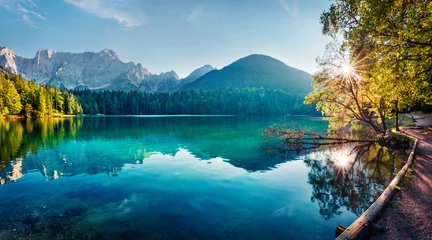 Photo sur Plexiglas Paysage Vue estivale colorée du lac Fusine. Scène matinale lumineuse des Alpes juliennes avec pic Mangart en arrière-plan, Province d& 39 Udine, Italie, Europe. Fond de concept de voyage.