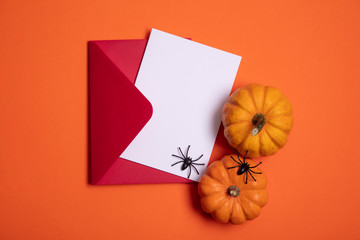 Blank white halloween card with pumpkins and spiders.