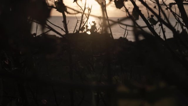 Majestic of sunset at the Tanjung Aru beach