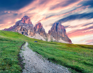 Naklejka premium Colorful morning view from Sella pass of Sassolungo and Sella mountain range. Fantastic summer sunrise scene of Gardena valley, National Park Dolomites (Dolomiti), South Tyrol, Alp, Italy, Europe.