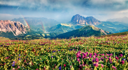 Dramatic summer view of Sassolungo (Langkofel) and Sella group, National Park Dolomites, South...
