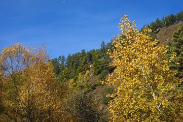 Pictures of the autumn forest, river, hills, sky.