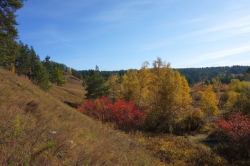 Pictures of the autumn forest, river, hills, sky.