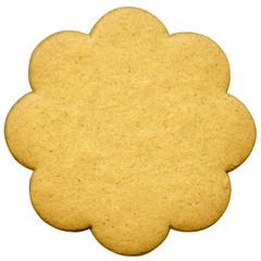 Cookie isolated on white background