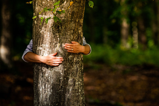 woman hand embracing a tree in the forest - nature loving, fight global warming, save planet earth