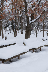 冬の公園