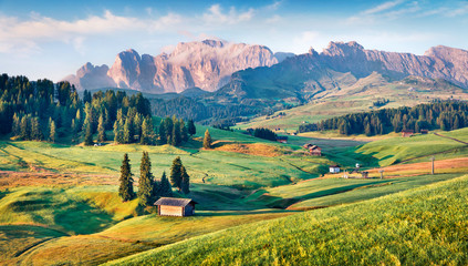 Sunny morning scene of Compaccio village, Seiser Alm or Alpe di Siusi location, Bolzano province,...