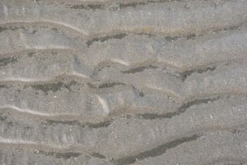 tire tracks in the sand