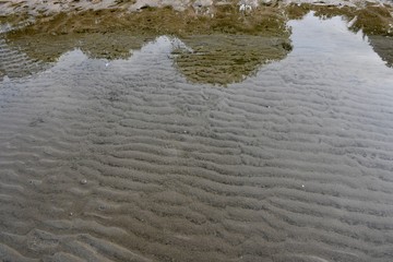 ripples in water