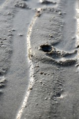 footprints in sand