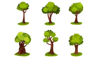 Collection With Green Trees Vector Illustrations Of Different Design